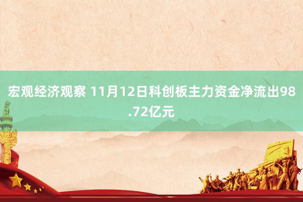 宏观经济观察 11月12日科创板主力资金净流出98.72亿元