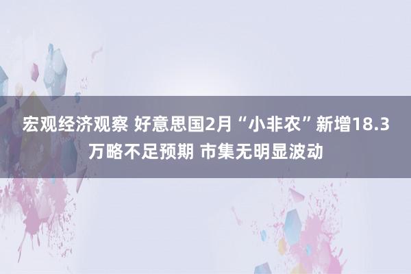 宏观经济观察 好意思国2月“小非农”新增18.3万略不足预期 市集无明显波动