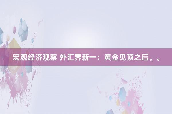 宏观经济观察 外汇界新一：黄金见顶之后。。