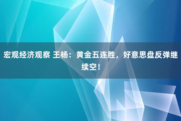 宏观经济观察 王杨：黄金五连胜，好意思盘反弹继续空！