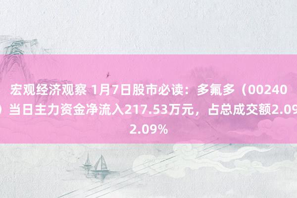 宏观经济观察 1月7日股市必读：多氟多（002407）当日主力资金净流入217.53万元，占总成交额2.09%