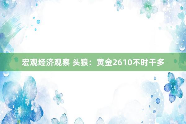 宏观经济观察 头狼：黄金2610不时干多