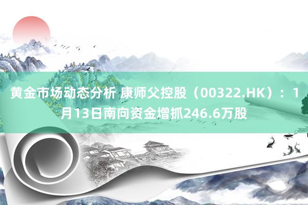 黄金市场动态分析 康师父控股（00322.HK）：1月13日南向资金增抓246.6万股