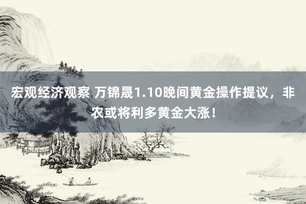 宏观经济观察 万锦晟1.10晚间黄金操作提议，非农或将利多黄金大涨！