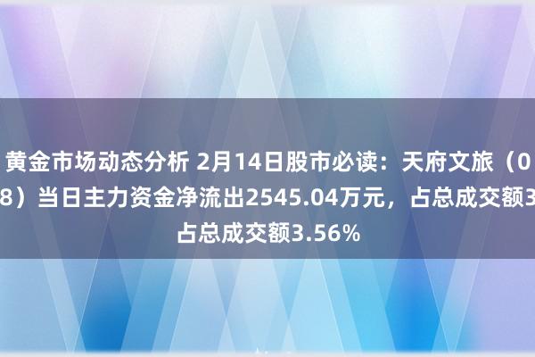 黄金市场动态分析 2月14日股市必读：天府文旅（000558）当日主力资金净流出2545.04万元，占总成交额3.56%