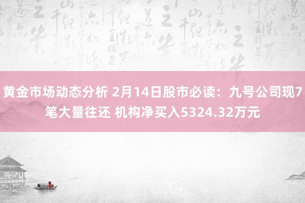 黄金市场动态分析 2月14日股市必读：九号公司现7笔大量往还 机构净买入5324.32万元