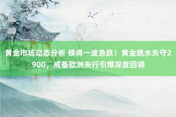 黄金市场动态分析 倏得一波急跌！黄金跳水失守2900，戒备欧洲央行引爆深度回调