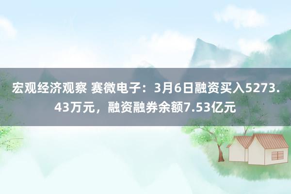 宏观经济观察 赛微电子：3月6日融资买入5273.43万元，融资融券余额7.53亿元