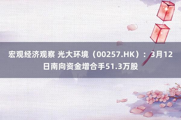 宏观经济观察 光大环境（00257.HK）：3月12日南向资金增合手51.3万股